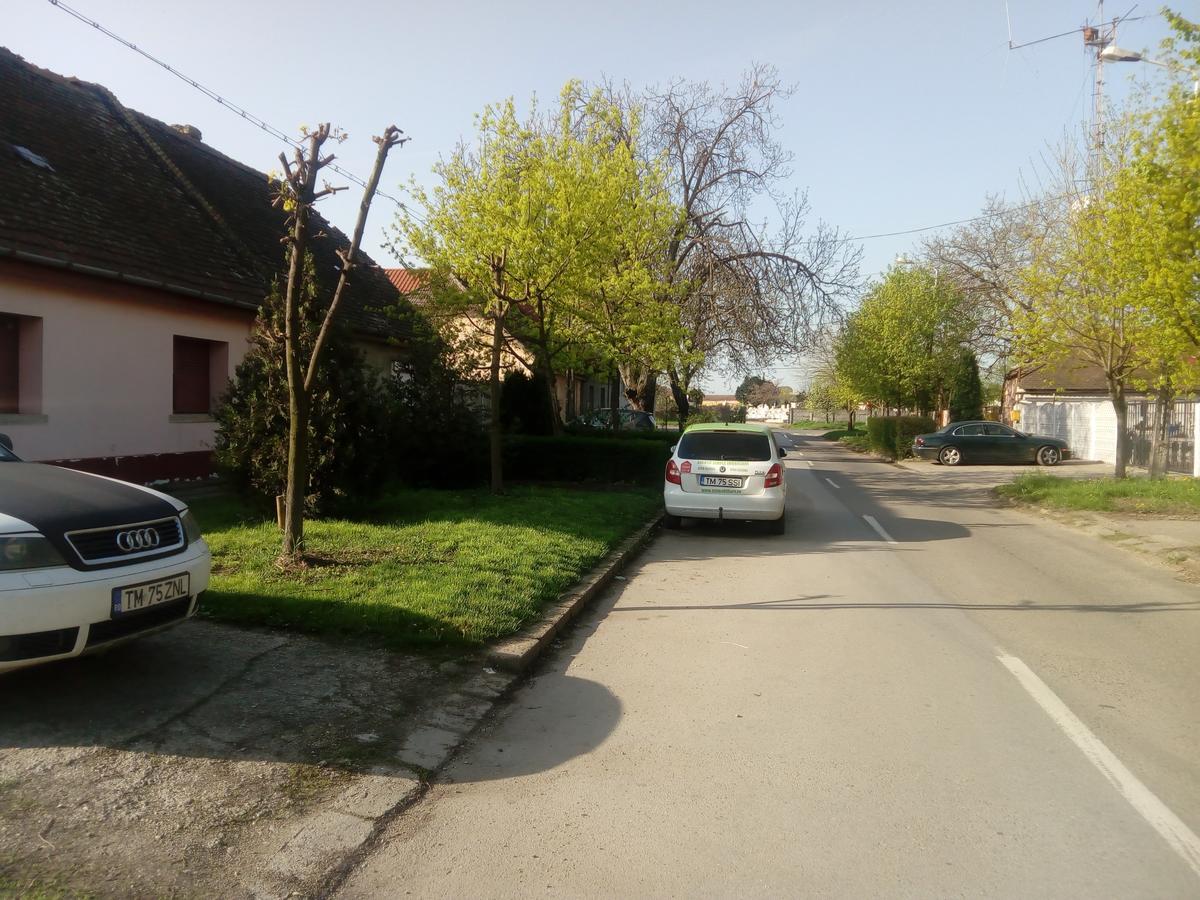 Casa Magda Apartment Timisoara Exterior photo